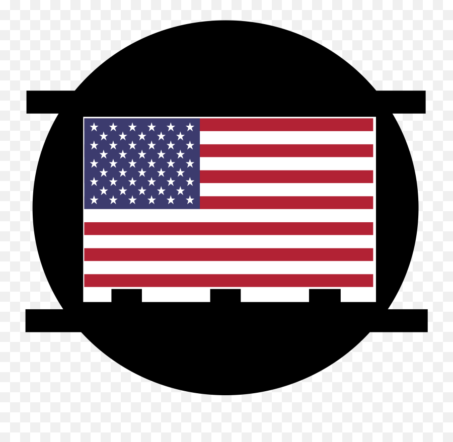 Fileanimation Disc Ussvg - Wikipedia Simone Biles With The American Flag Png,Invader Zim Icon