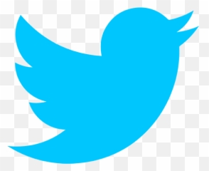 Robert G Iafe Phd Csusm - Transparent Background Black Twitter Logo png