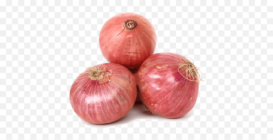 Download - Onion Png,Onion Png
