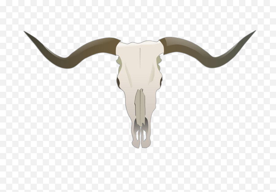 Longhorn Png 3 Image - Cowboy Bull Skull Vector,Longhorn Png