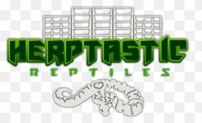 Herptastic Reptiles Racks And Cages - Herptastic Reptiles Png,Reptiles Png
