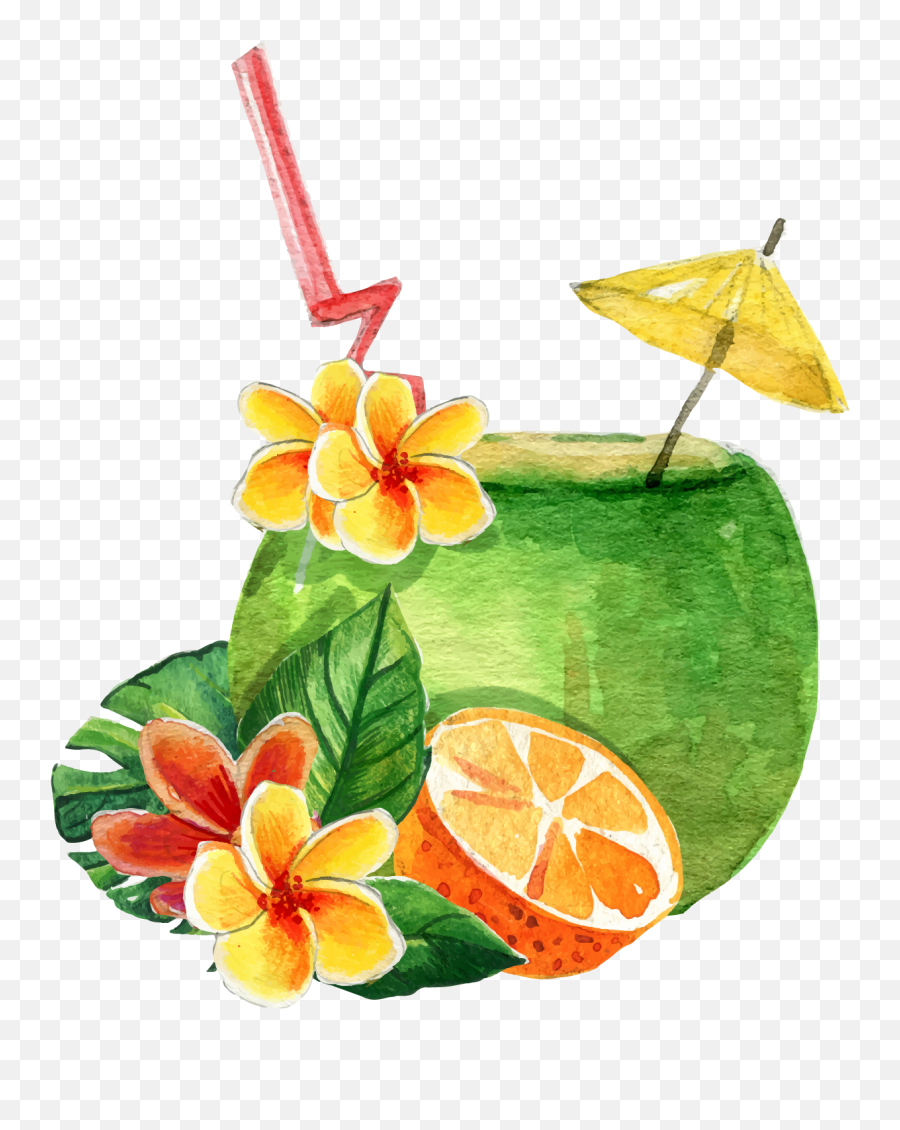 Free Png Coconut - Konfest Juice,Coconut Png