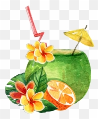 Free Png Coconut - Konfest Juice,Coconut Png
