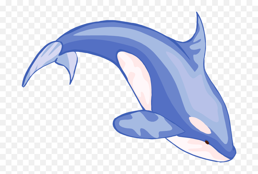 Orca Clipart 7 - Cartoon Blue Whale Drawing Png,Orca Png - free transparent  png images 
