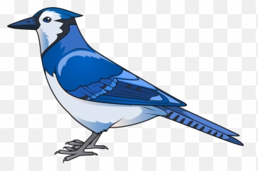 Blue Jay Transparent Png Clipart Free - Blue Jay Bird Clipart,Blue Jay Png