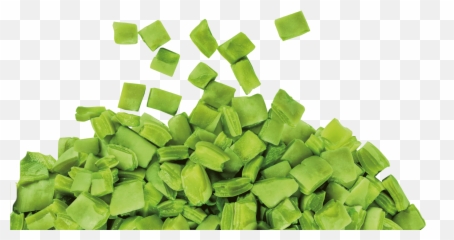 Nopales Png 6 Image - Nopal Png,Nopal Png