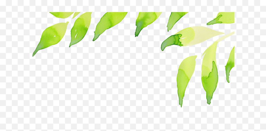 Html Bundle Creative Leafy Blog - Leaves Header Png,Watercolor Leaves Png