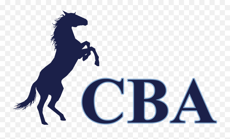 Download My Snapchat Geofilter For The Cba Campus Was Denied - Transparent Horse Silhouette Png,Denied Png