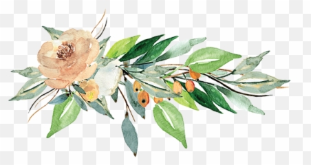 Home Kevin And Marcie - Common Peony Png,Flower Garland Png
