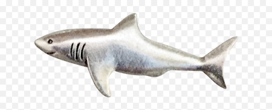 Great White Shark Pin - Great White Shark Png,Great White Shark Png