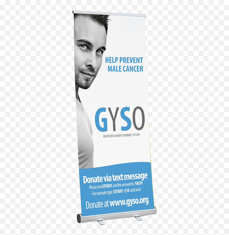 Budget Roller Banners - Banner Png,Banners Png