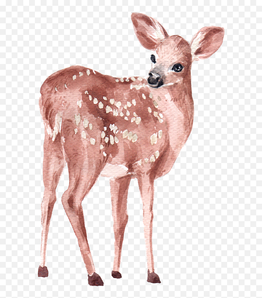 Deer Watercolor Element By We Studio - Deer Watercolor Png,Pink Watercolor Png