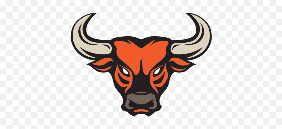 Printed Vinyl Orange Bull Head Stickers Factory - Chicago Bulls Logo Png,Bull Logo Png
