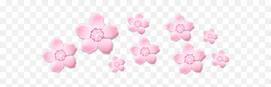 Sakura Transparent Png - Cute Soft Blue Flower Aesthetic,Sakura Transparent