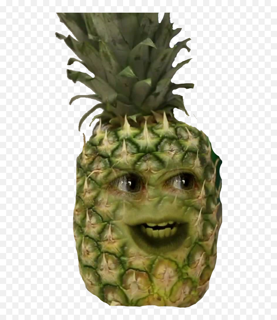 Annoying Pineapple - Pineapple Full Size Png Download Annoying Pineapple,Annoying Orange Transparent