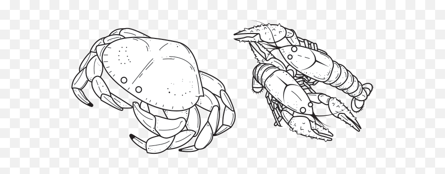 Big Pot And Grill - Big Png,Crab Legs Png