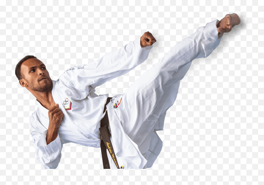 High Quality Martial Arts Supplies And - Kick Png,Karati Logo