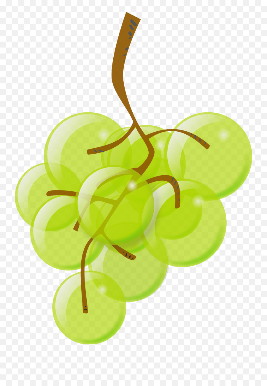 Green Grapes Icon - Cartoon Green Grape Png,Grapes Icon