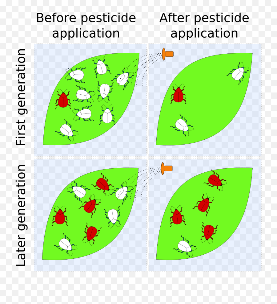 Pesticide Resistance - Pesticide Resistance Png,Natural Selection 2 Icon