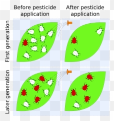Pesticide Resistance - png