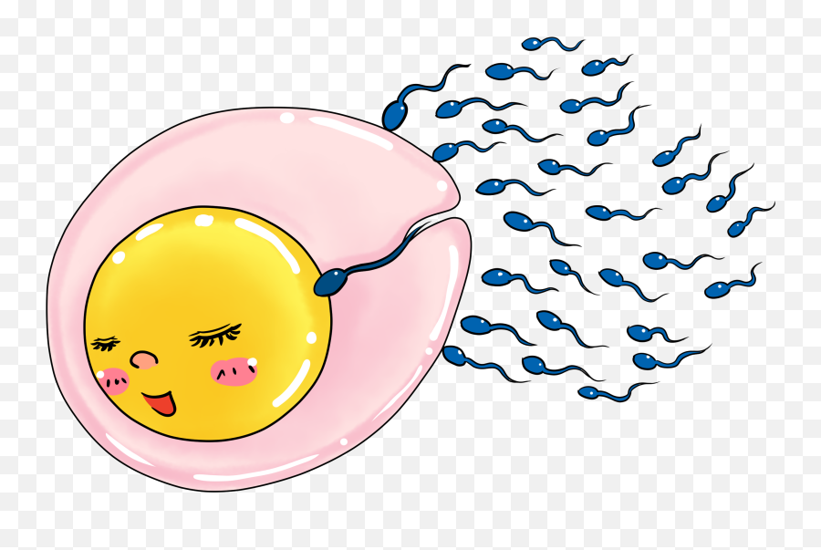 Donation - Cartoon On Egg And Sperm Png,Donation Png