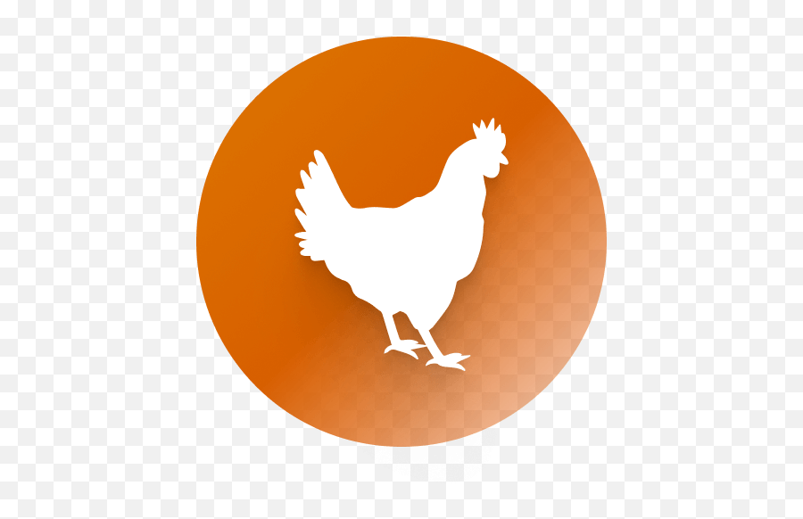 Commitment To Users - Argeta Global Make A Wish Fundraising T Shirts Png,How To Get Rooster Icon