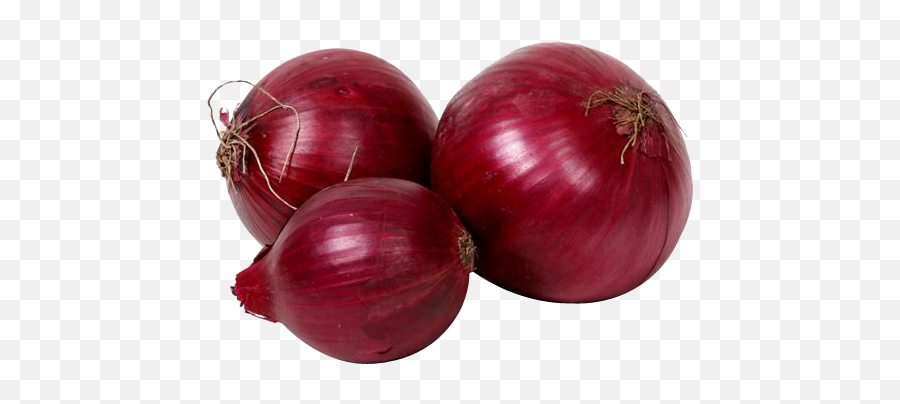 Onion Png Images 5 Image - Onion Premium,Onion Png