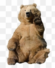 Download Soviet Bear Png - Waving Transparent Grizzly