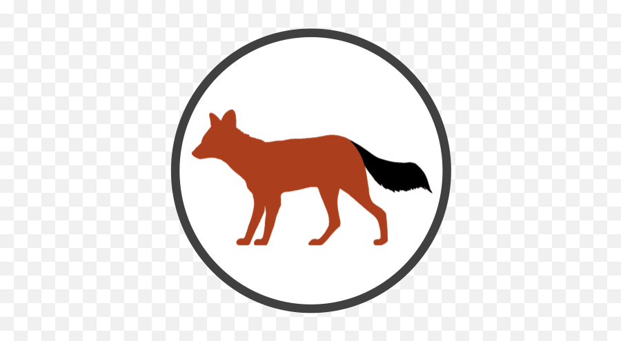 Local Names - Fox Png,Red Fox Icon