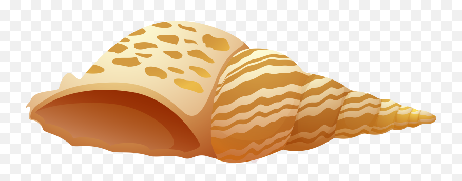 Download Sea Shell Png Clip Art - Sea Shell Clipart Png,Sea Shell Png