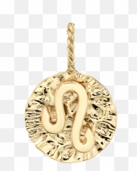 Gold Coin Zodiac Pendant The Last Line - Solid png