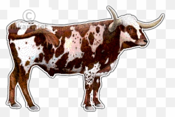 Texas Longhorn Png Picture - Longhorn Png Texas,Longhorn Png