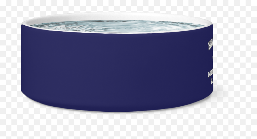 Stranger Hawkins Middle School Dog Bowl - Circle Png,Dog Bowl Png