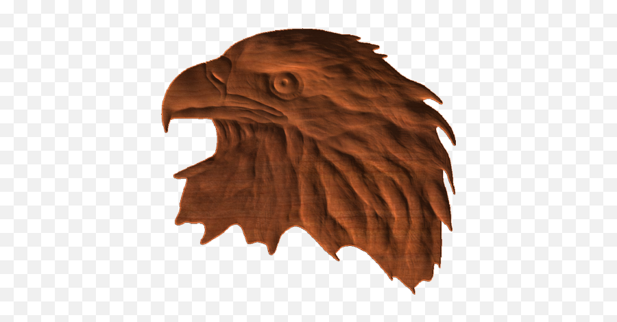 Download Bald Eagle Head - Cnc Router Png Image With No Hawk,Eagle Head Png