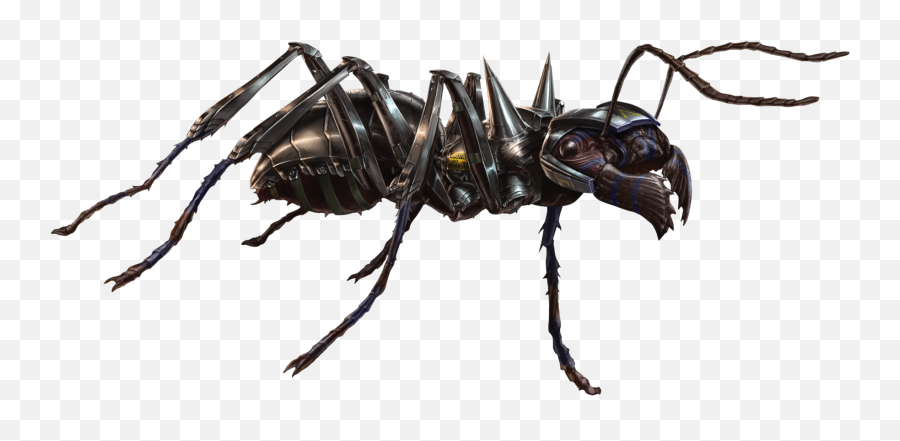 Ant Png Pic - Bullet Ant Png,Ant Png