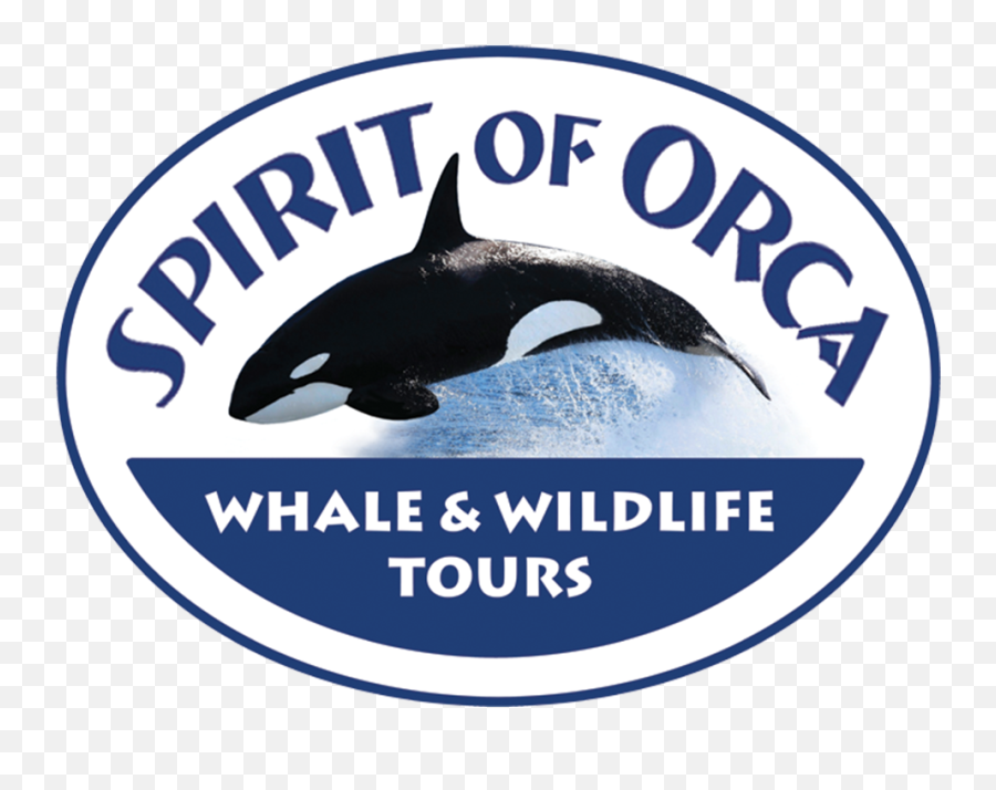 Download Spirit Of Orca Png Image With - Colour Haze Chopping Machine,Orca Png