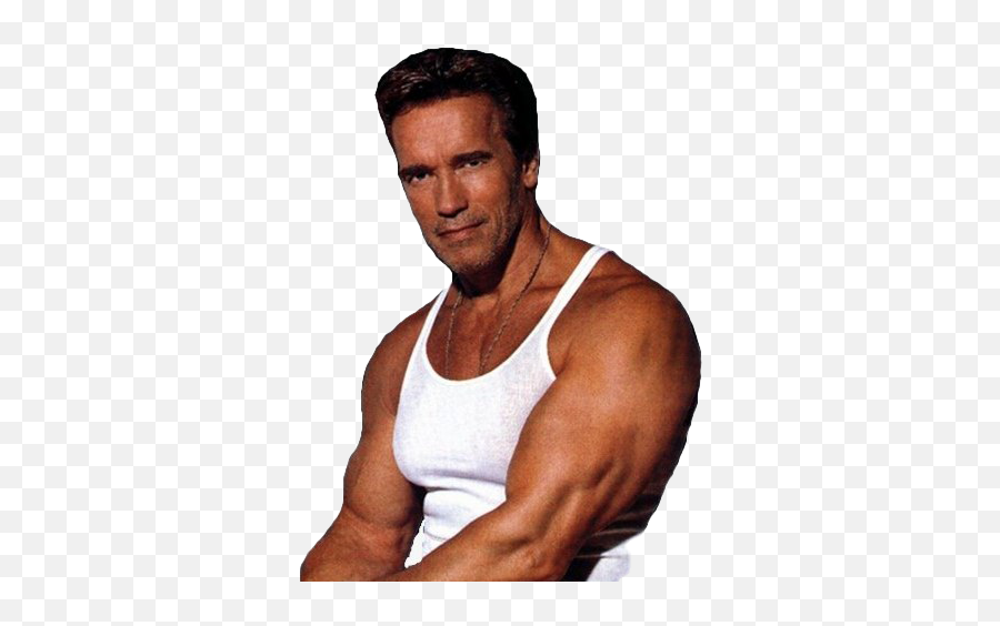 Arnold Schwarzenegger Bodybuilding Png Image All - Arnold Gif Png,Arnold Schwarzenegger Transparent