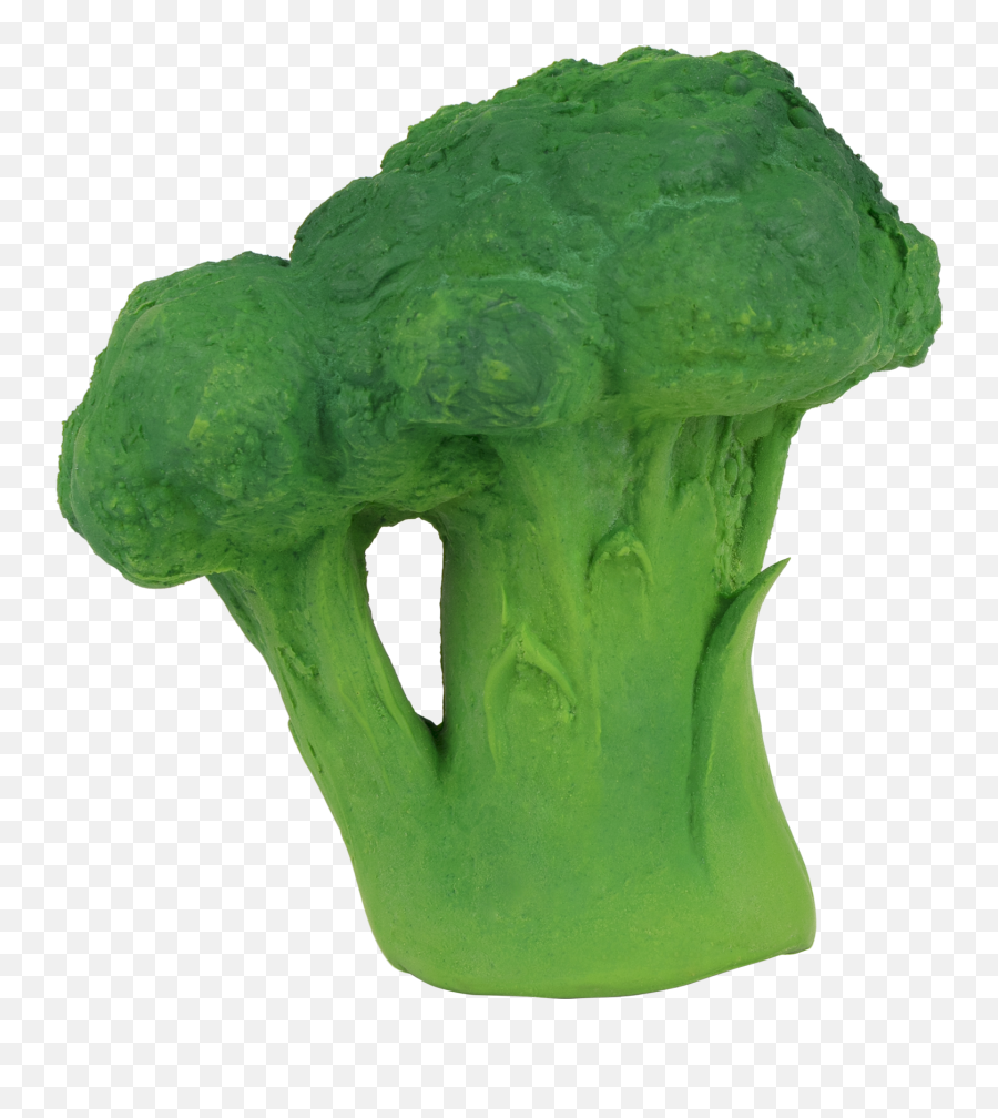 Brucy The Broccoli - Brucy The Broccoli Png,Broccoli Transparent