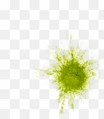 Dang Foods - Dang Bar Keto Snack Coconut Chips Stickyrice Chlorophyta Png,Grass Top View Png