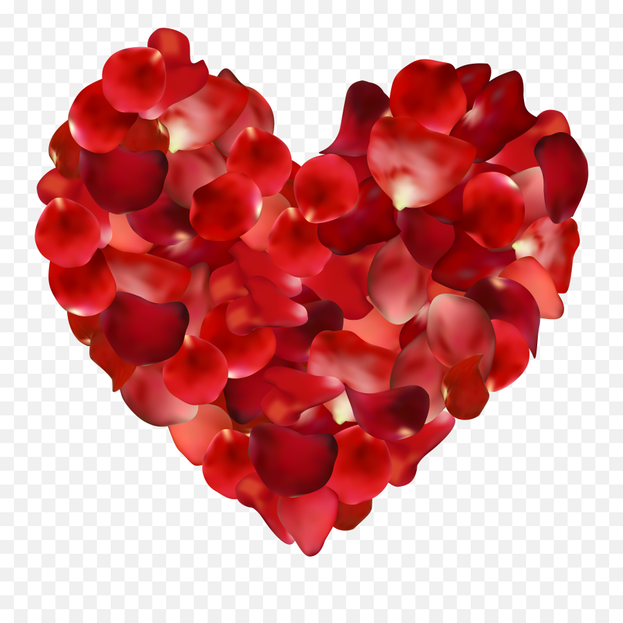 Flower Petals Png Files - Transparent Background Rose Petal Heart Png ...