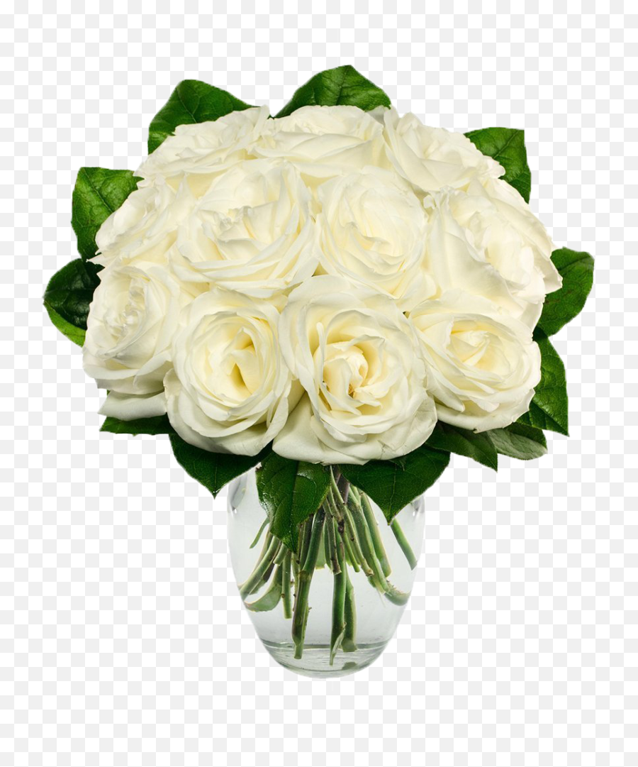 Download White Roses Png Image With No Background - Pngkeycom Bouquet Of White Roses,White Roses Png