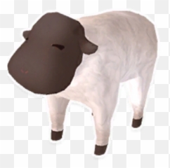Lamb - Dairy Cow Png,Lamb Png