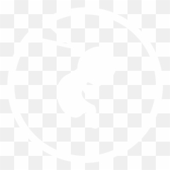 Brave New World - Piratenpartei png