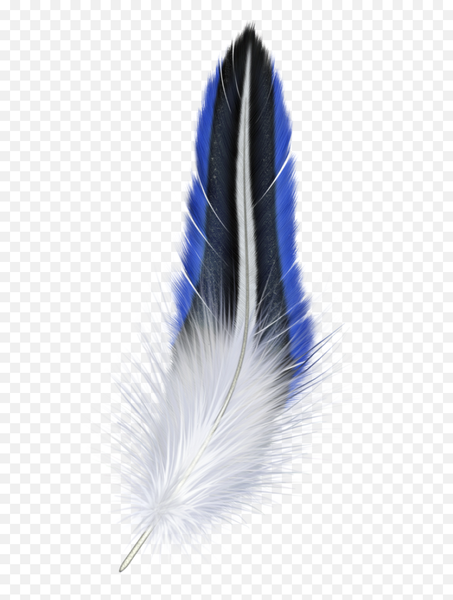 Black Feathers Falling Png Download - Blue And White Feather,Black Feathers Png