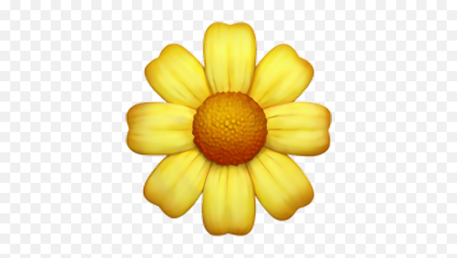 Yellow Flower Emoji Png - Yellow Flower Emoji Png,Sunflower Emoji Png