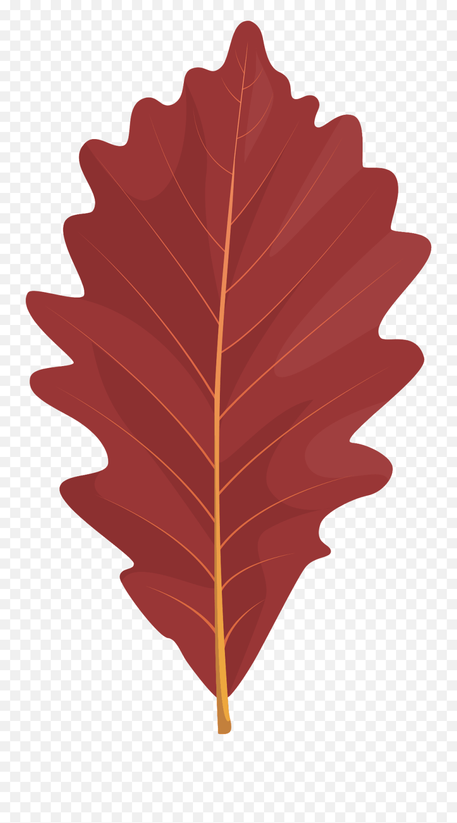 Swamp White Oak Red Leaf Clipart Free Download Transparent - Swamp White Oak Png,Swamp Png