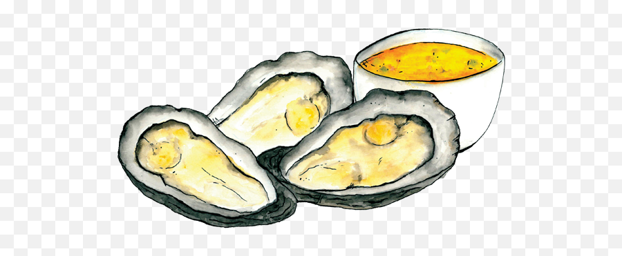 Oysters - Tiostrea Chilensis Png,Oysters Png