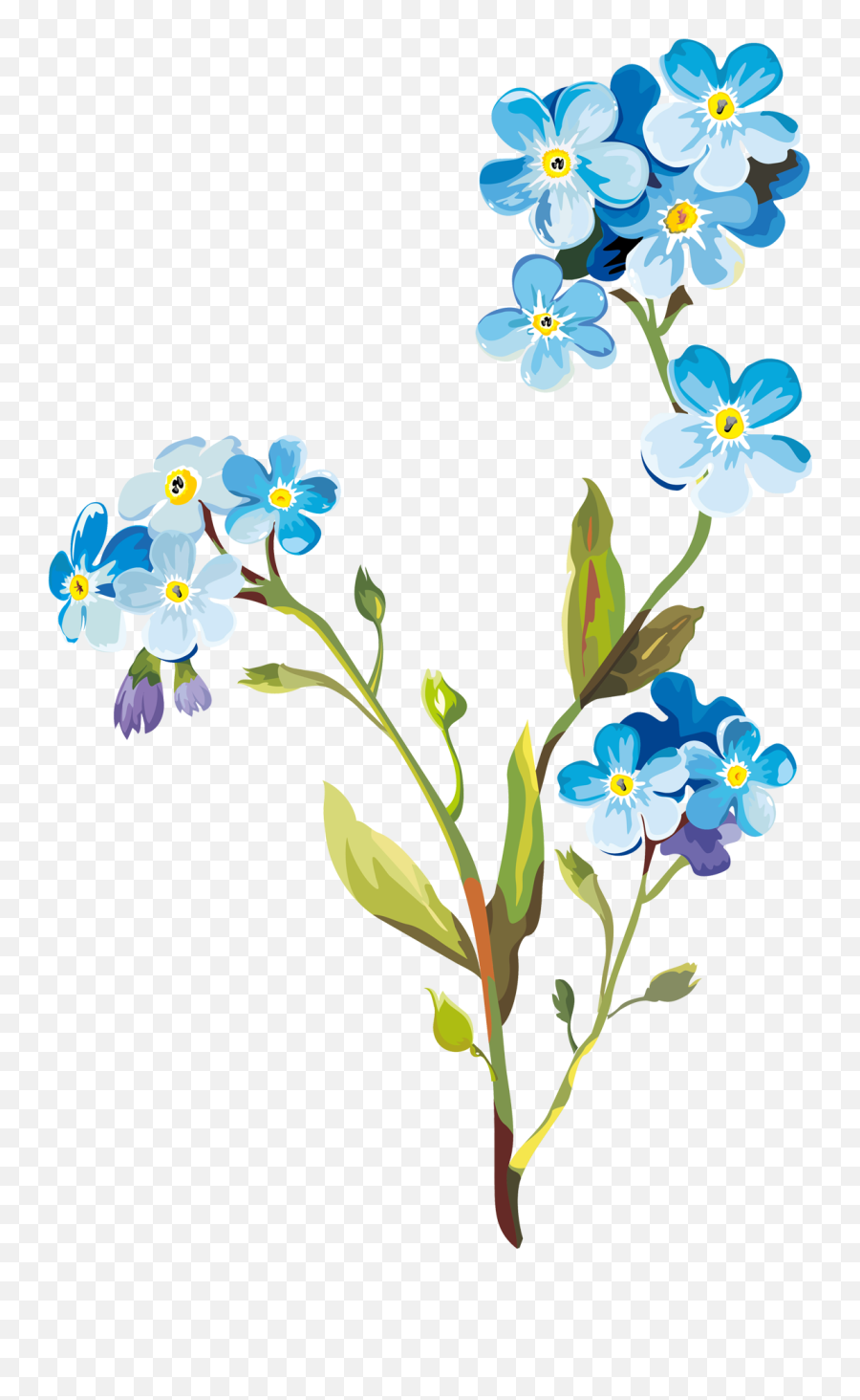 Flower Drawing Clip Art - Spring Flowers Drawing Png,Spring Flowers Png