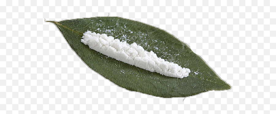 Drug - Cocaine Dans Le Coca Png,Cocain Png