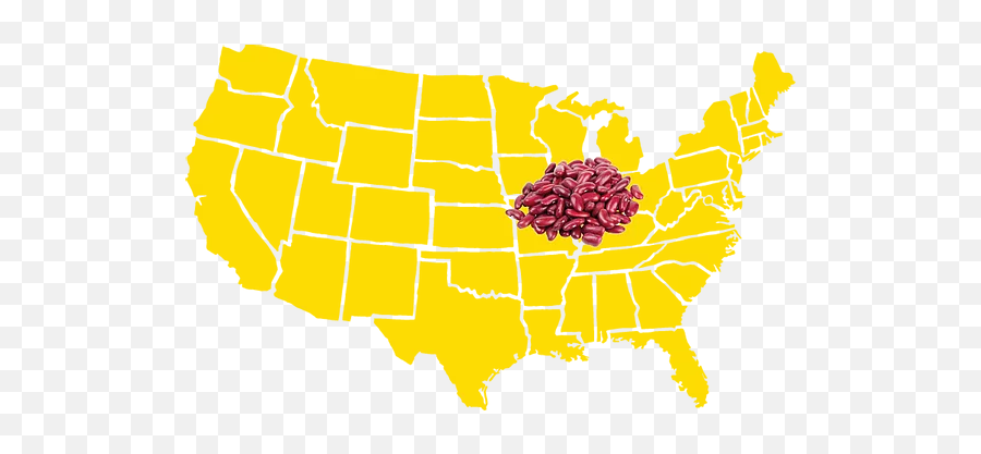 Organic Dark Red Kidney Beans 8 Track Foods - Percentage Of Gun Owners In Us Each State Png,Kidney Png